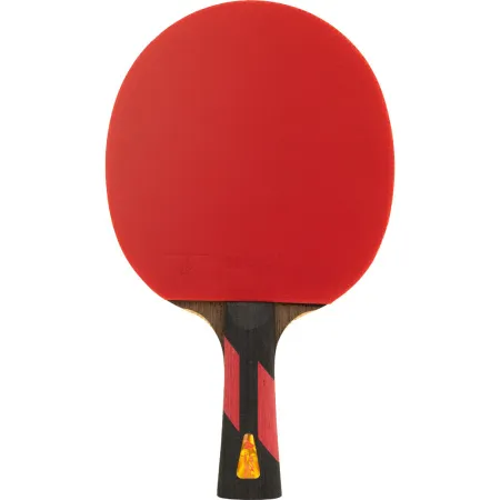 Ракетка для н/т DOUBLE FISH 7A+C, для професс.,ITTF Appr.,накл.2,1мм,+ 2 мяча V40+мм ITTF Appr за 3&nbsp;559.80 ₽ купить в Туле