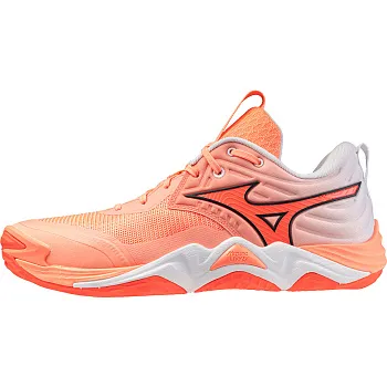Волейбольные Кроссовки MIZUNO Wave Momentum ELITE(U), V1GA2512-80