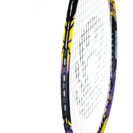 Ракетка бадм. TORRES Carbon PRO6, BD20521,для продв., стерж/обод из карбона,со струнами, фиол за 4&nbsp;477.80 ₽ купить в Туле
