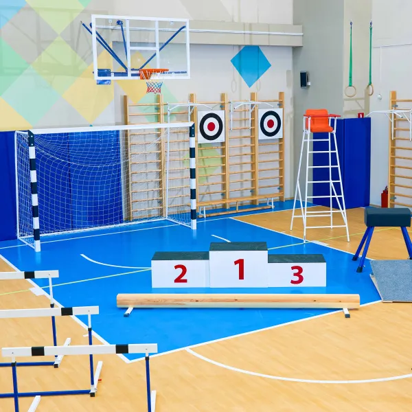 Щит для метания навесной на шведскую стенку (фанера) 700х700 ZAVODSPORTA за 8&nbsp;960 ₽ в Туле