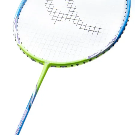 Ракетка для бадм. DOUBLE FISH JINQUE QT-1601, для продвинутых,карбон со струнами,литая,голубой за 3&nbsp;015.80 ₽ купить в Туле