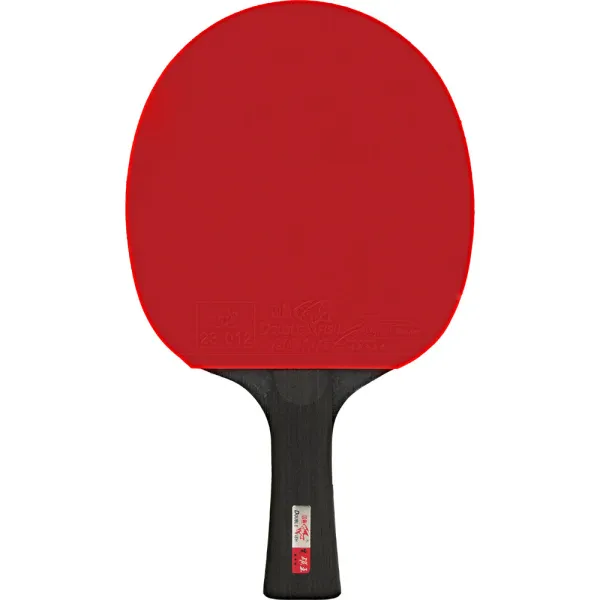 Ракетка для н/т DOUBLE FISH Black Carbon King Racket 5*****, для професс.,ITTF Appr.,накл.2,1,мм за 6&nbsp;434.50 ₽ в Туле