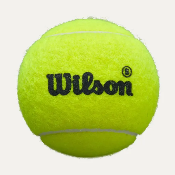 Мяч для падела Wilson Premier Padel Speed, WR8908501001, уп.3 шт, FIP Appr.,сукно, нат.резина,желтый за 1&nbsp;235.90 ₽ в Туле