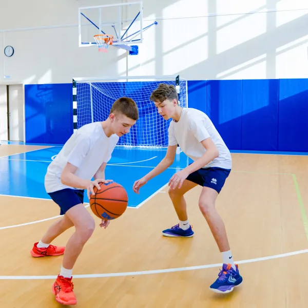 Щит баскетбольный игровой (монолитный поликарбонат) 1050х1800 мм ZAVODSPORTA за 47&nbsp;600 ₽ в Туле